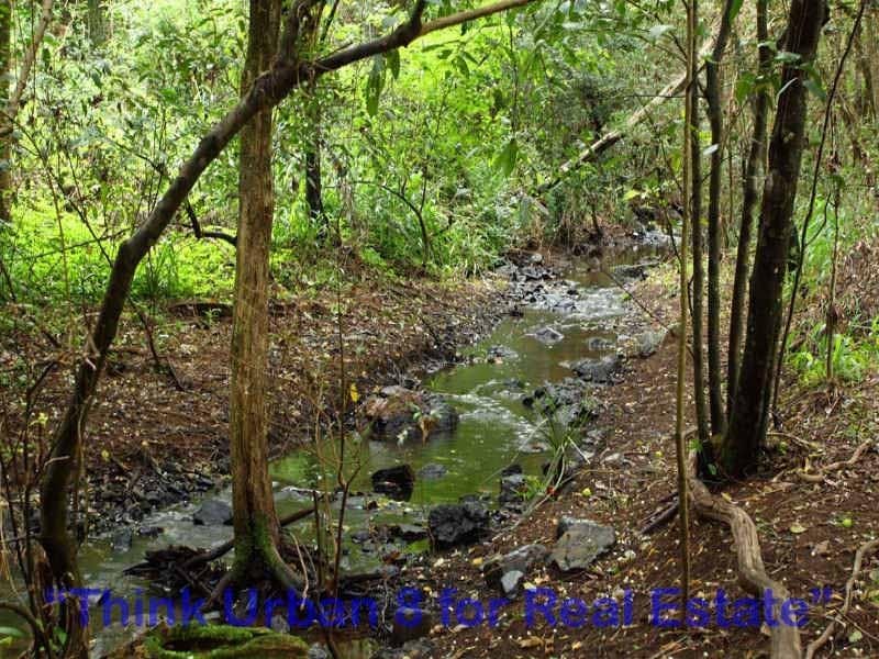441 Gold Creek Road, Brookfield QLD 4069